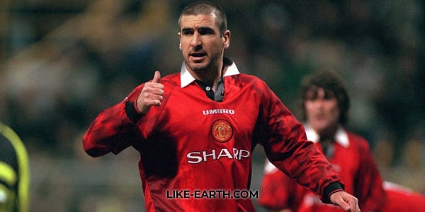 Eric Cantona The Rebel King of Football