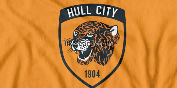 Hull City: A Resilient Force in English Football Hull City