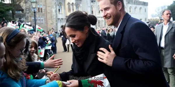 Public Comments About the Royal Family Public Comments About the Royal Family