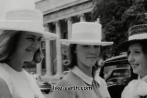 Queen Camilla Role and Journey