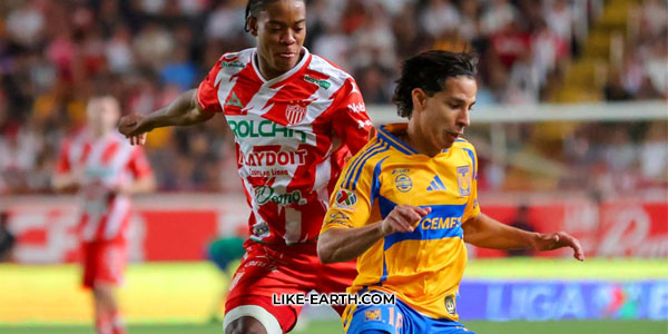 Tigres vs Necaxa Alineaciones para la vuelta de cuartos